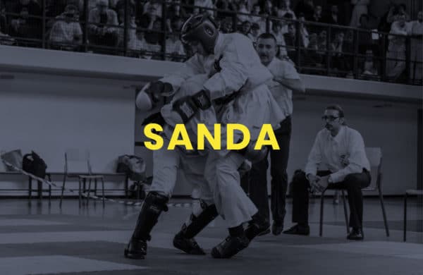 Corsi di Kung Fu Sanda / Sanshou