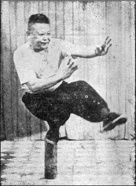 Zhangzhuang kung fu